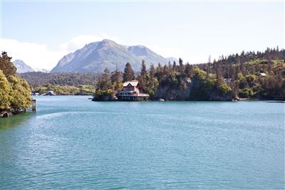 Halibut Cove